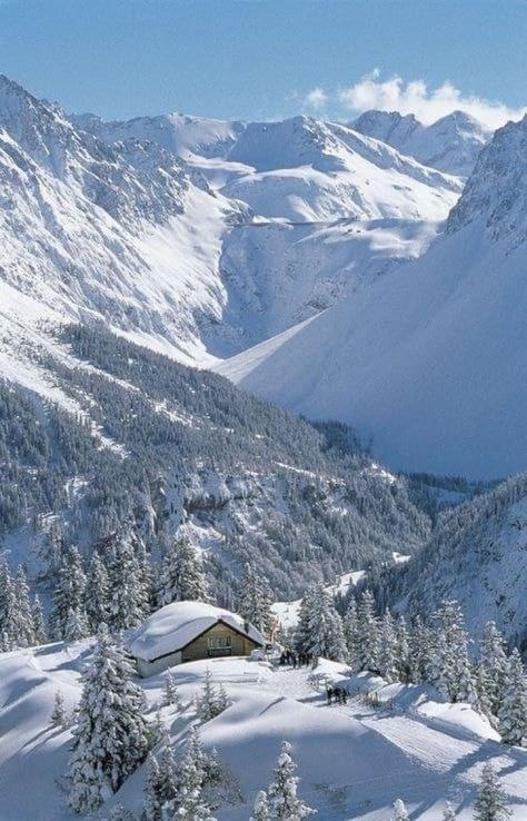 Appartamento Finestra sull’Adamello Passo del Tonale Esterno foto
